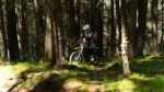 Rerode R1+ (Homologué) - 17 kw - Rerode r + forest pilot - Rerode Europe